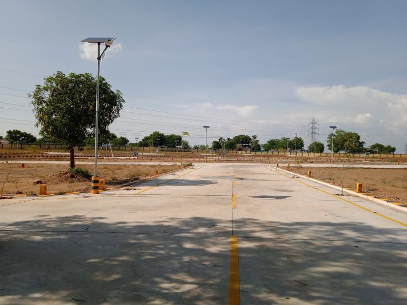 Dream Avenue Layout