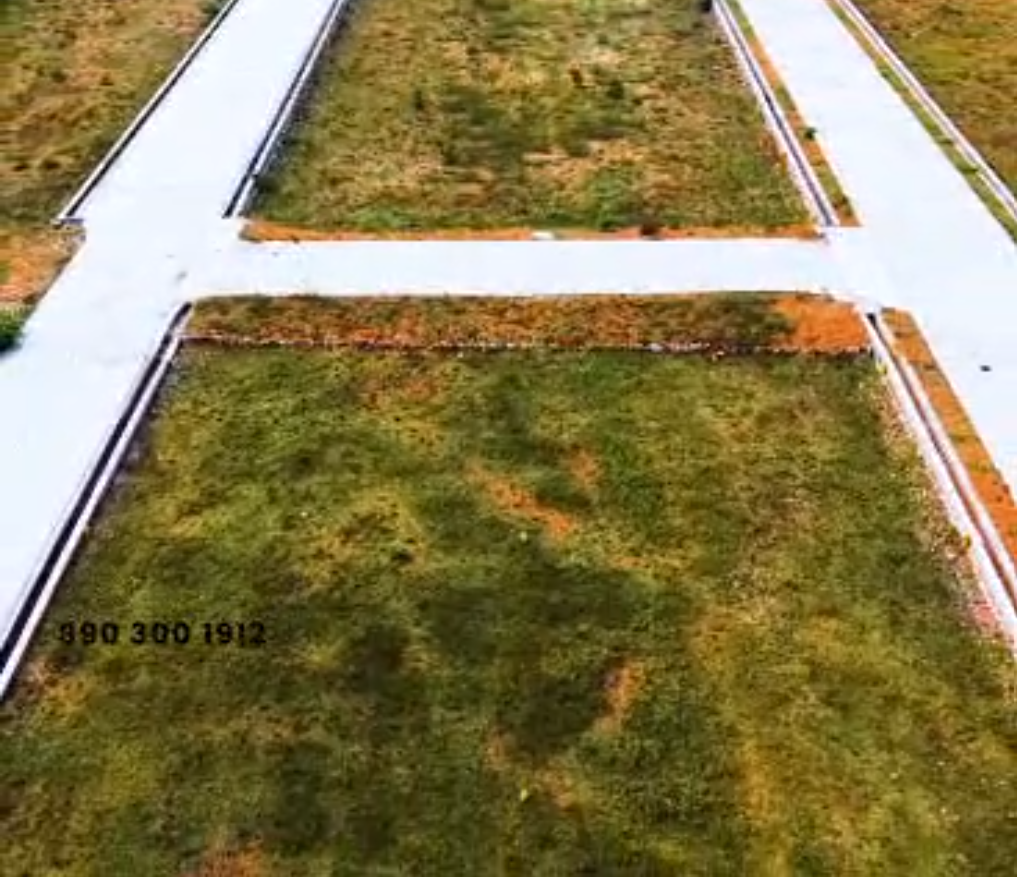 Dream Avenue