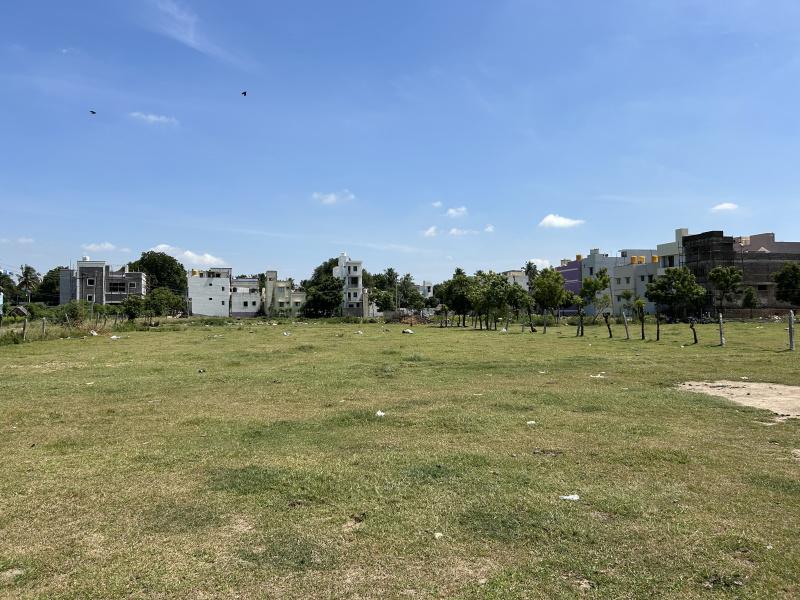 Green Environment